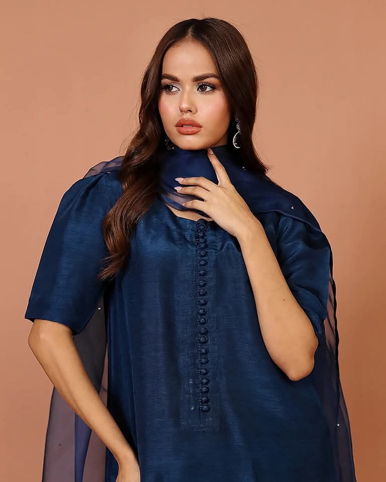 Badam Navy Farshi RawSilk