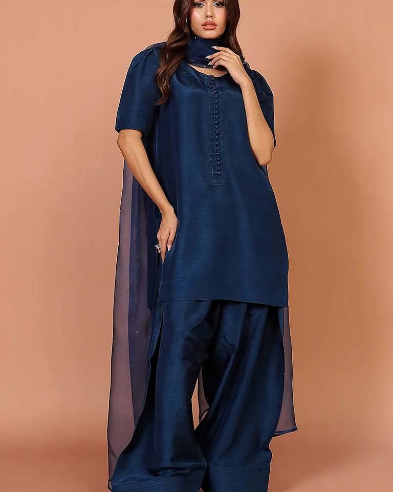 Badam Navy Farshi RawSilk